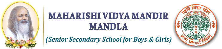 MVM Mandla Logo